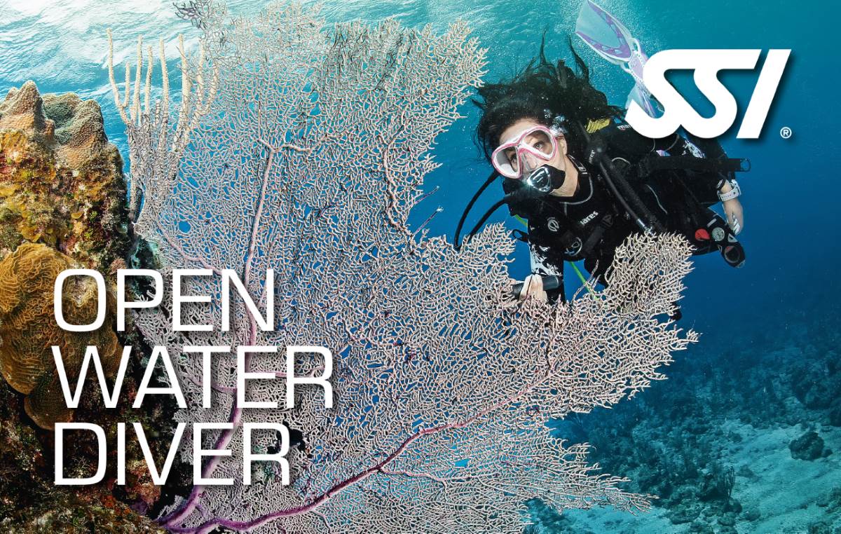 SSI Open Water Diver Course in London