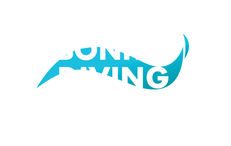 Bonito Diving Lanzarote