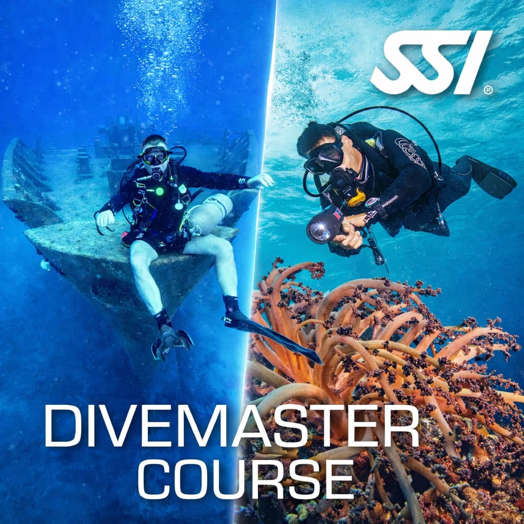 Become a certified SSI Divemaster